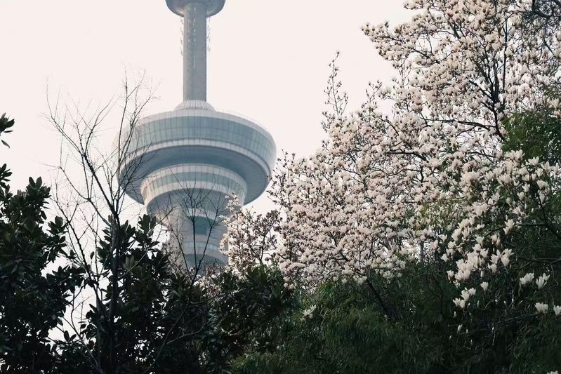 【南京发布】南京最美校花在此